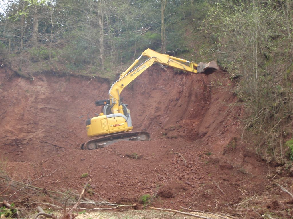 By 2011, the quarry was heavily overgrown - a bulldozer was needed to clear the rock faces