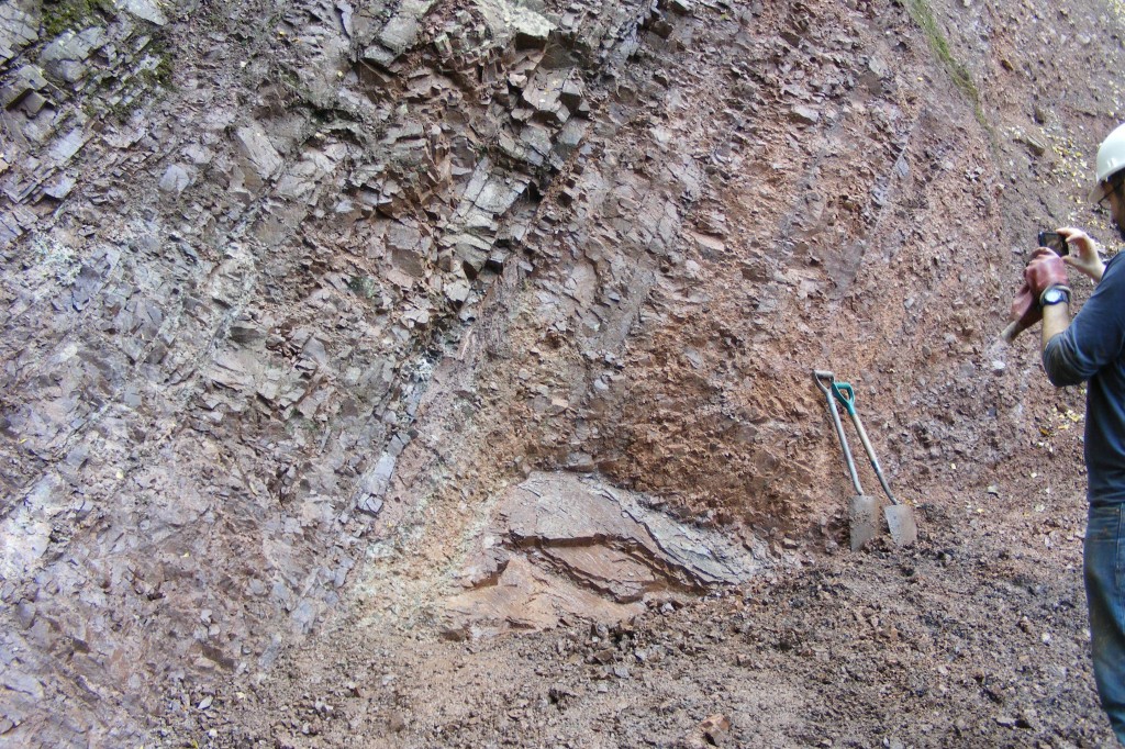 New discovery in the Barnt Green Road Quarry, southern end