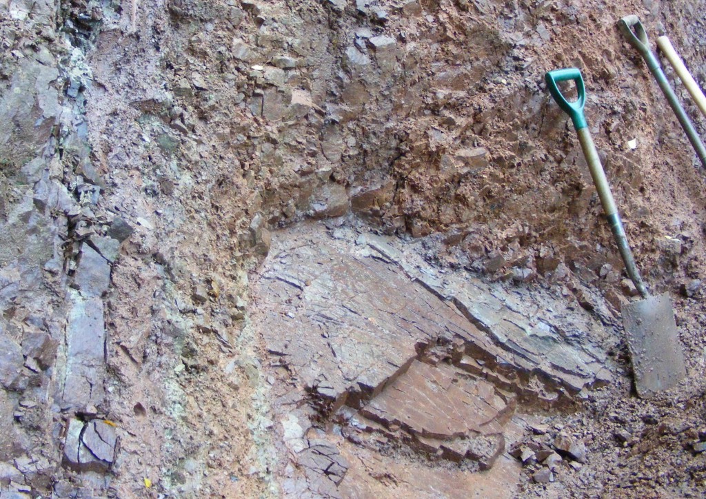 New discovery in the Barnt Green Road Quarry, southern end