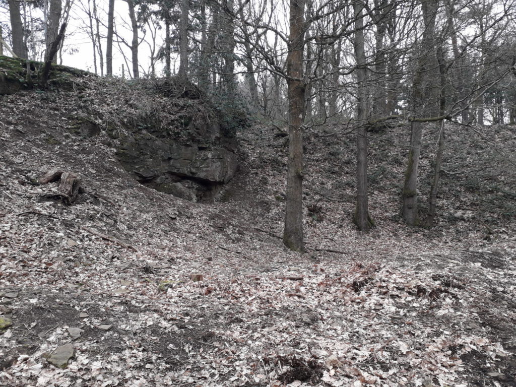 The Quarry in March 2019