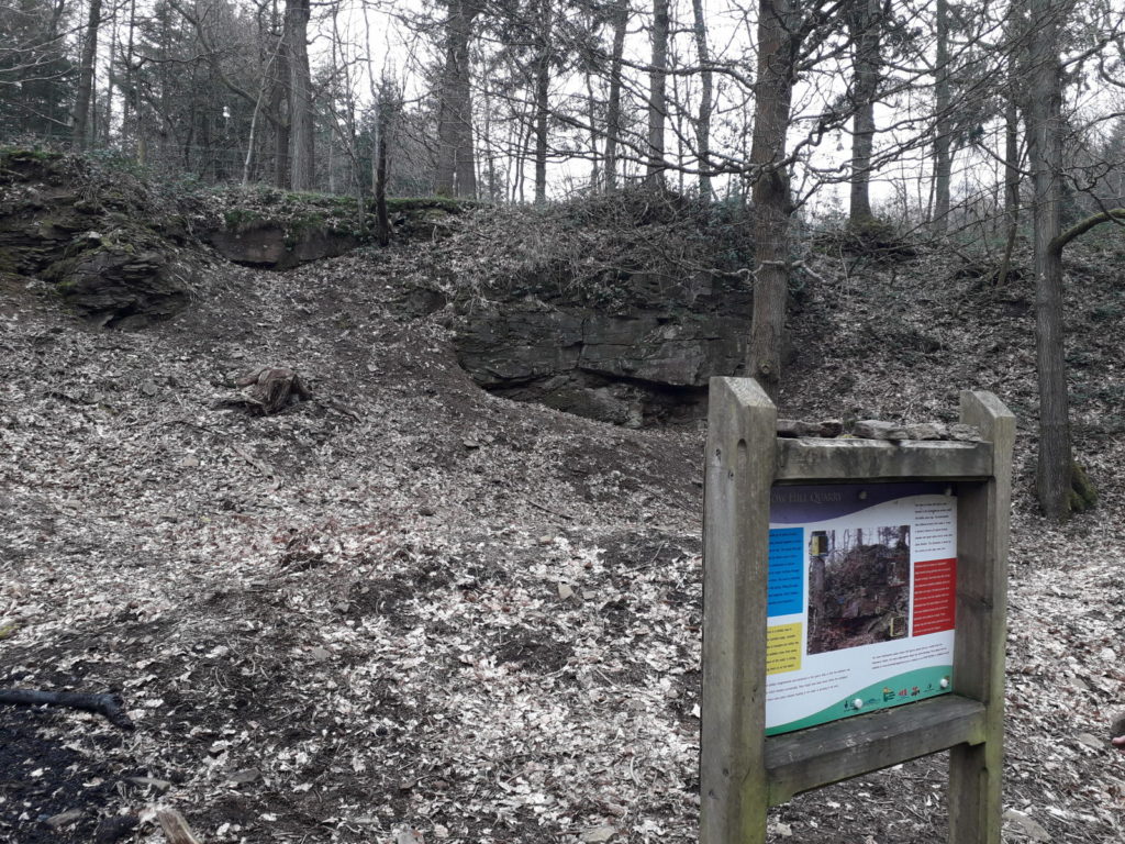The Quarry in March 2019