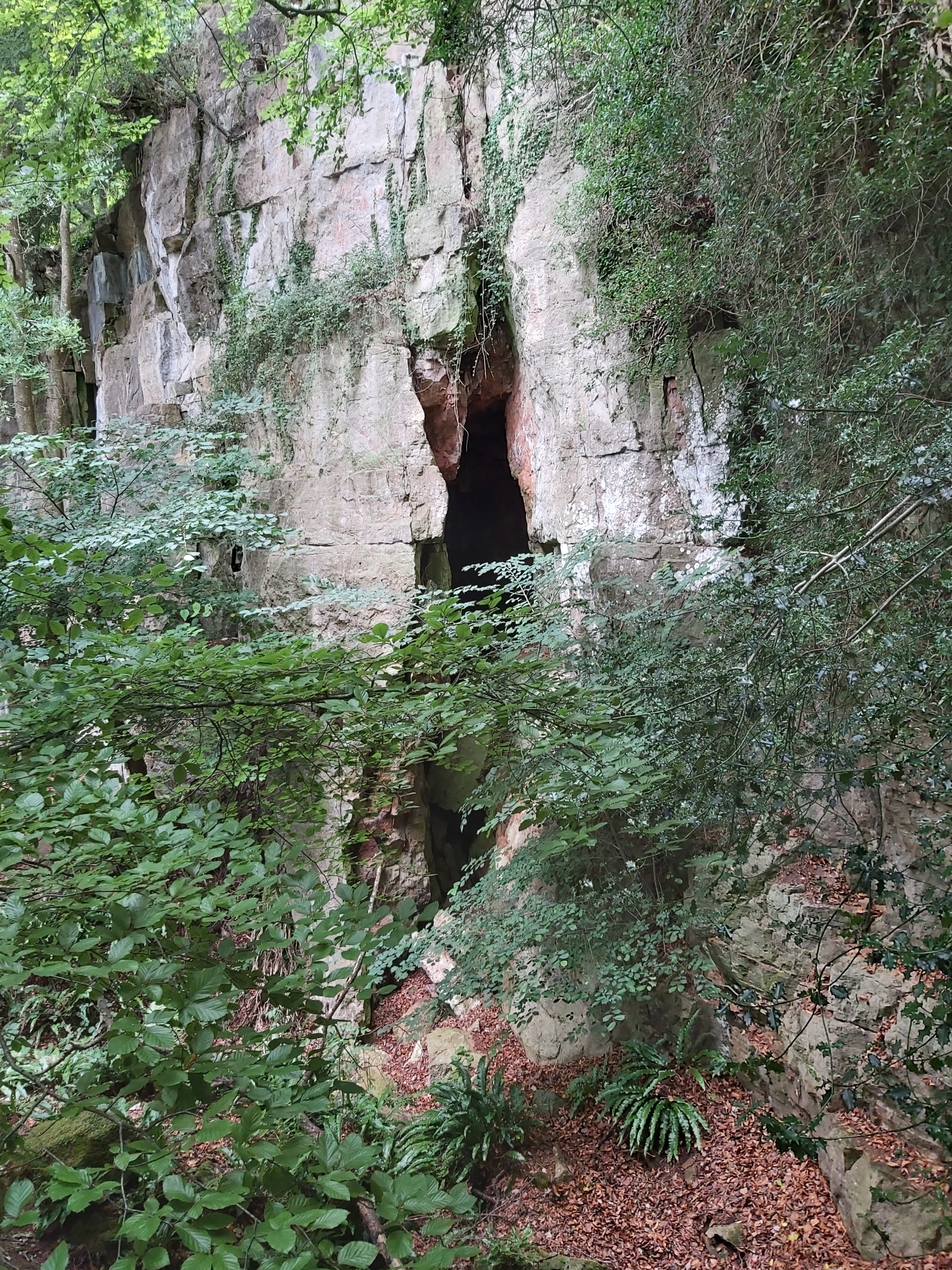 25 foot cleft in a dolomitic limestone cliff 