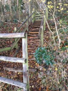 Loxter Ashbed steps at the end of 2019
